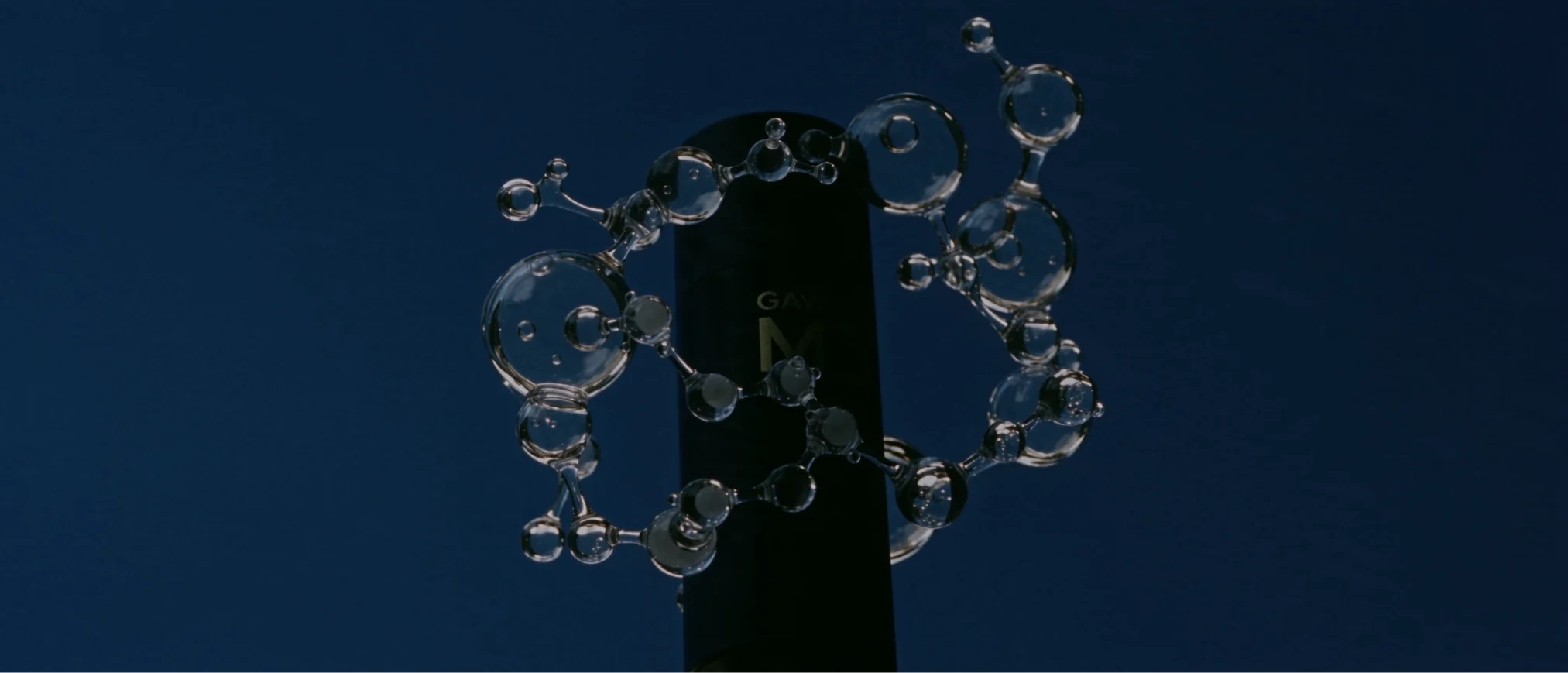 Gawley MD serum surrounded by molecular forms